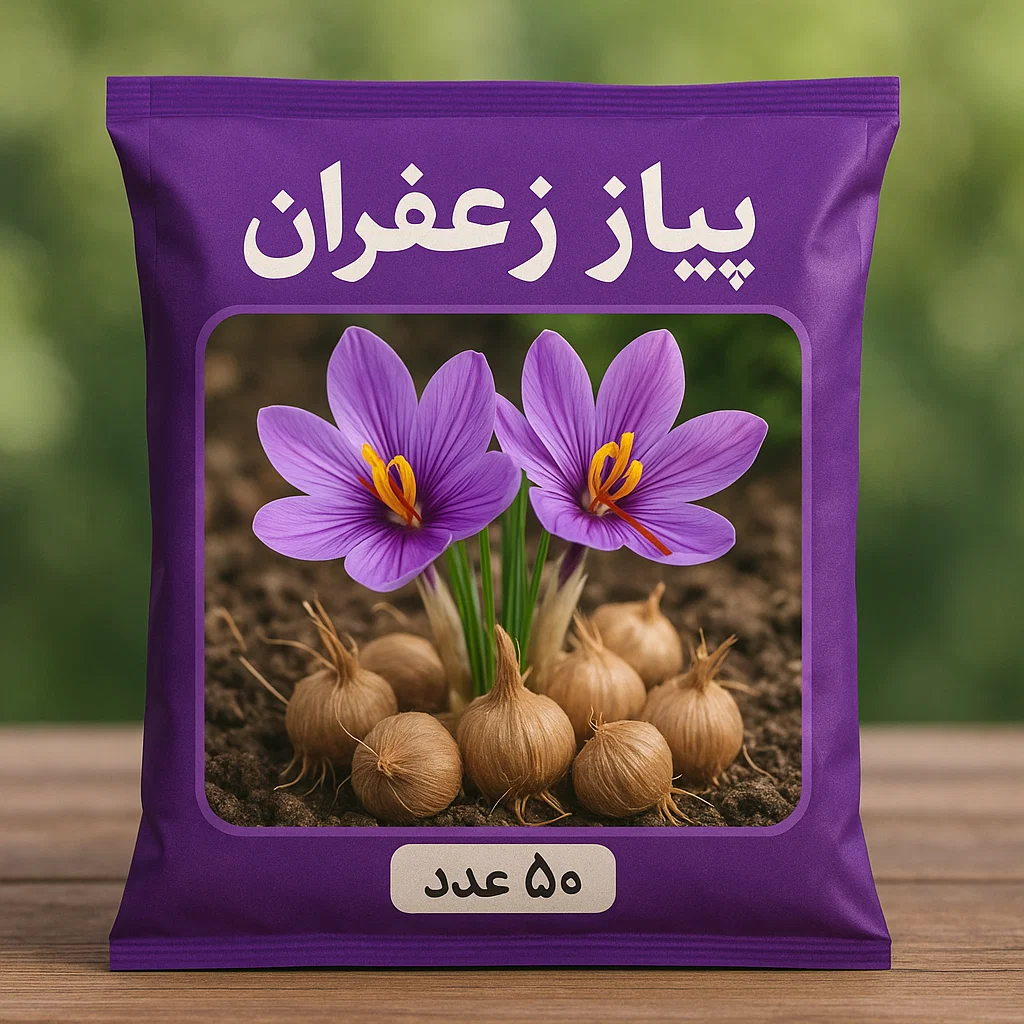 خرید پیاز زعفران عددی