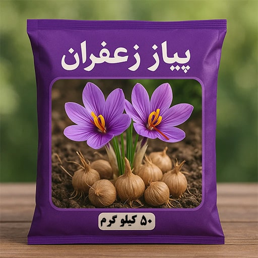 خرید پیاز زعفران 50 کیلویی