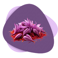 خرید پیاز زعفران