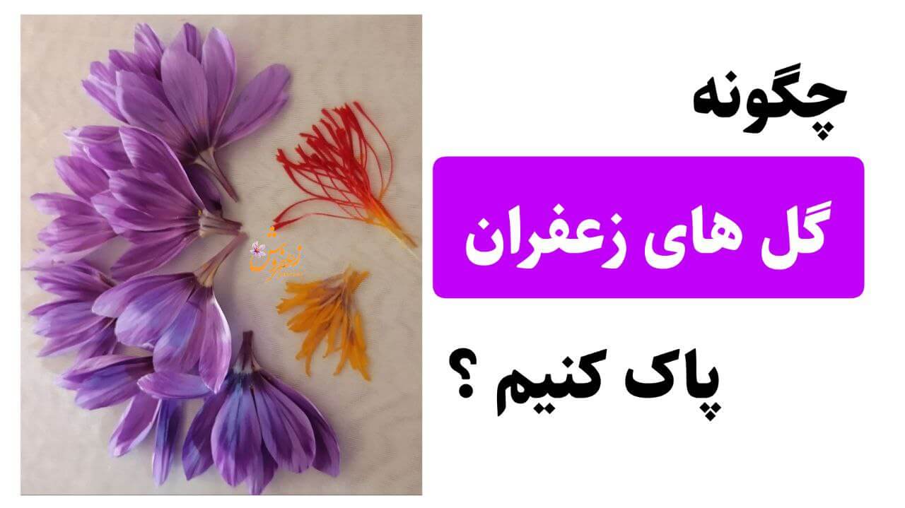 روش های پاک کردن زعفران