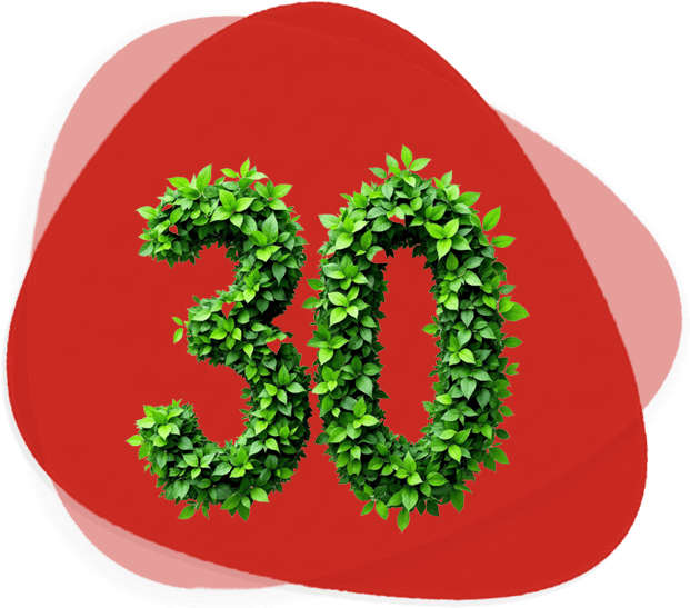 30 سال تجربه