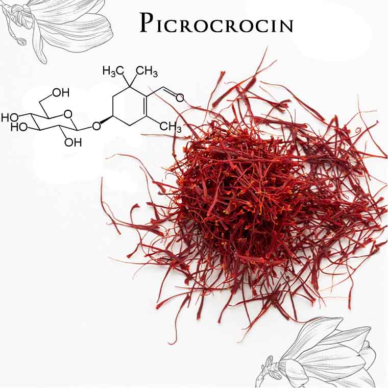 پیکروکروسین (Picrocrocin) زعفران چیست؟ (طعم تلخ زعفران)