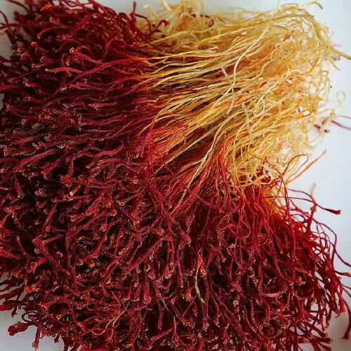 ریشه زعفران