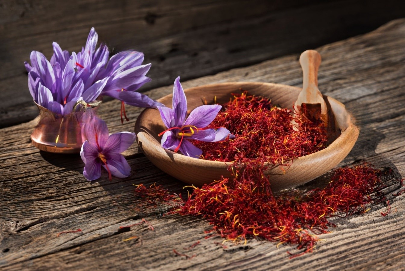 زعفران دارویی گیاهی