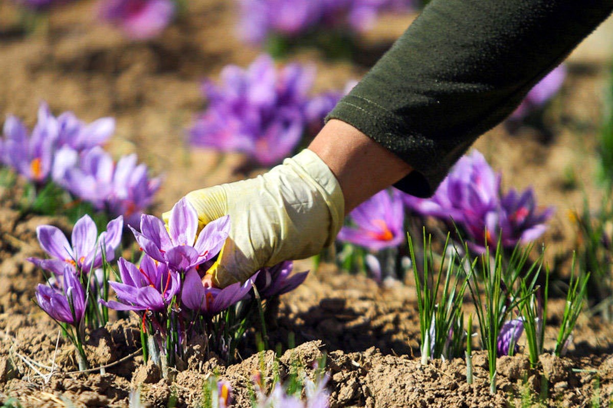 موقعیت جغرافیایی و ارتفاع زمین